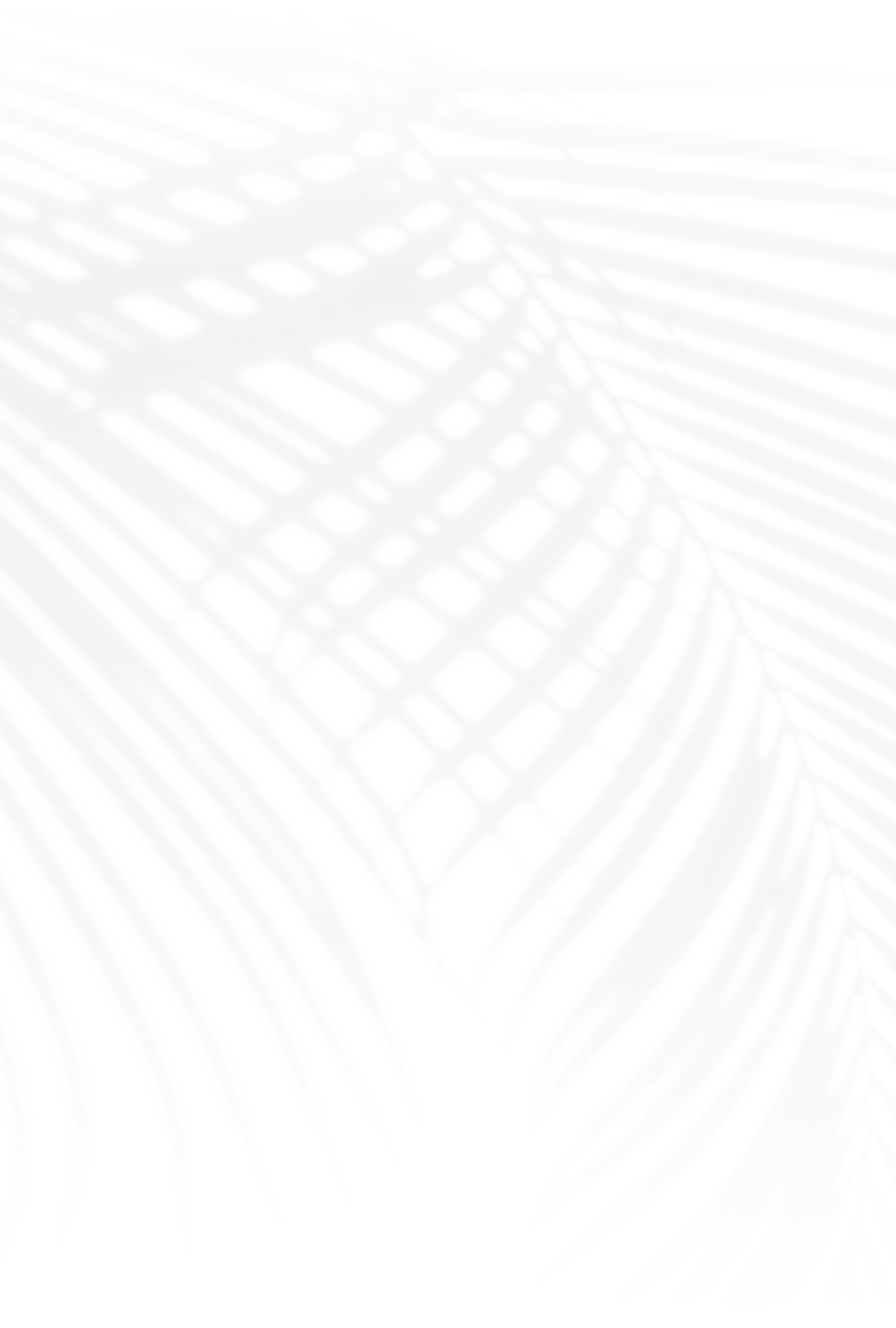 White background with palm leaf shadows.